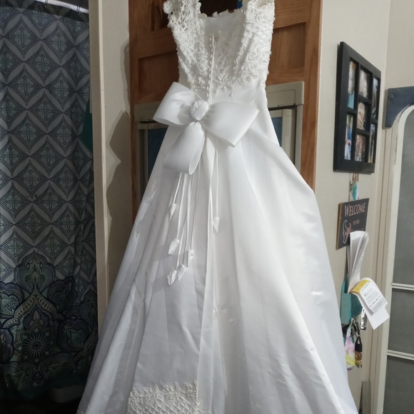 David's Bridal wedding gown with veil - Picture 2 of 11